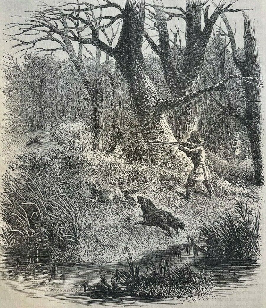 1869 Hunting the American Woodcock illustrated