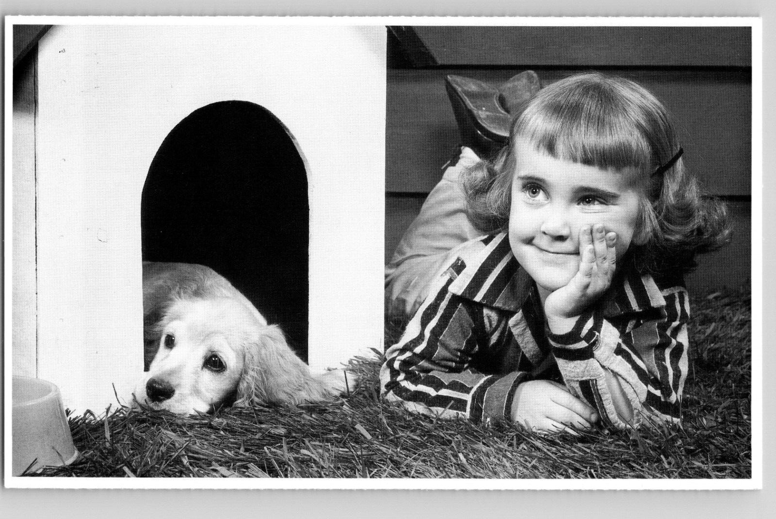 C1960 Little Girl Puppy Dog Doghouse Picture Taking North Shore Animal Postcard