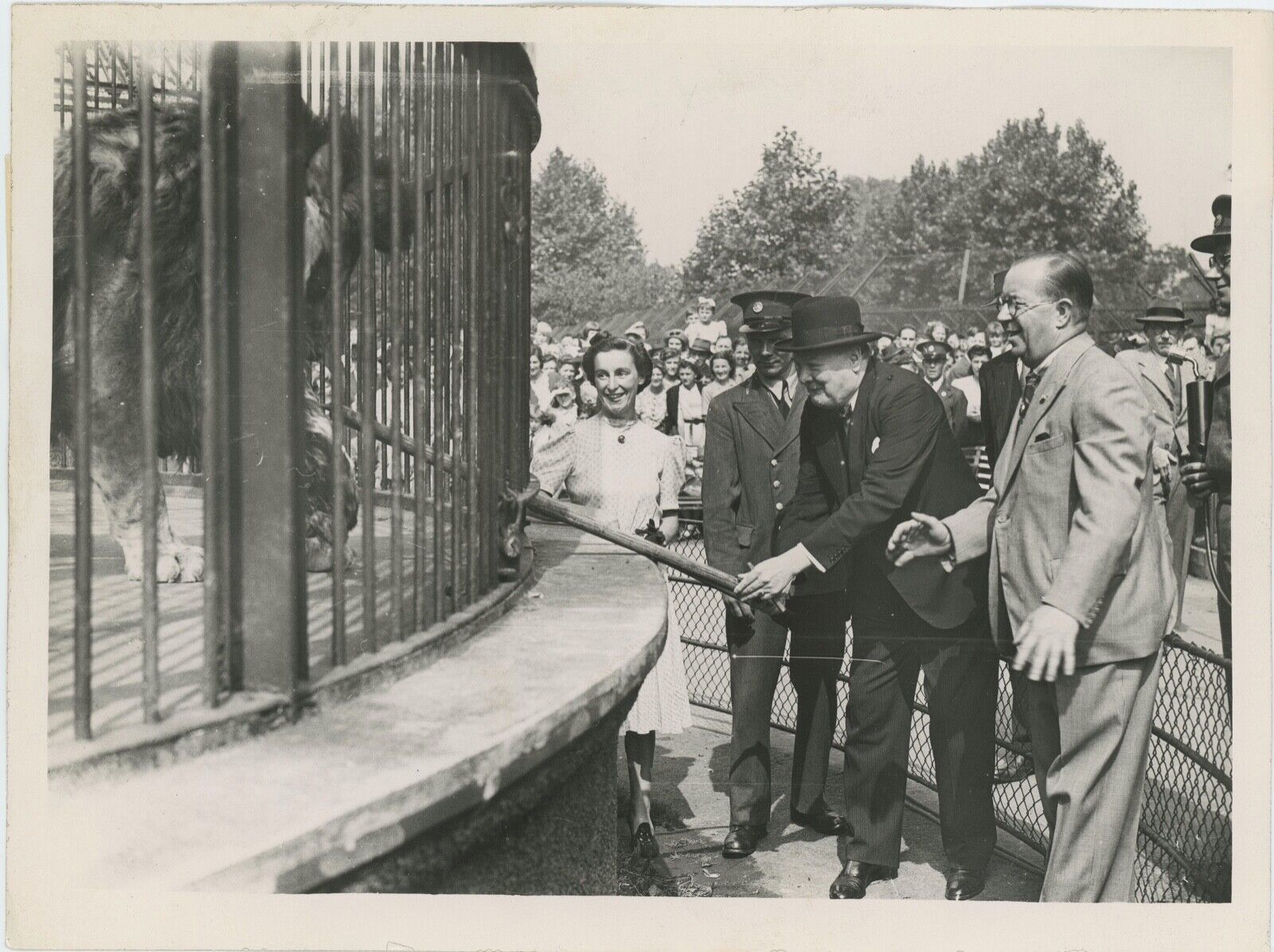 26 July 1943 press photo of Winston S. Churchill feeding his lion, Rota