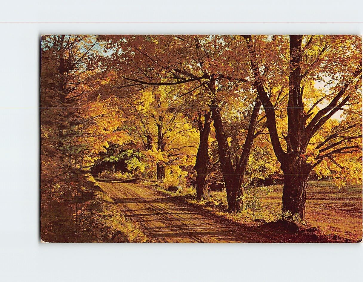 Postcard A Country Road Nature Scenery