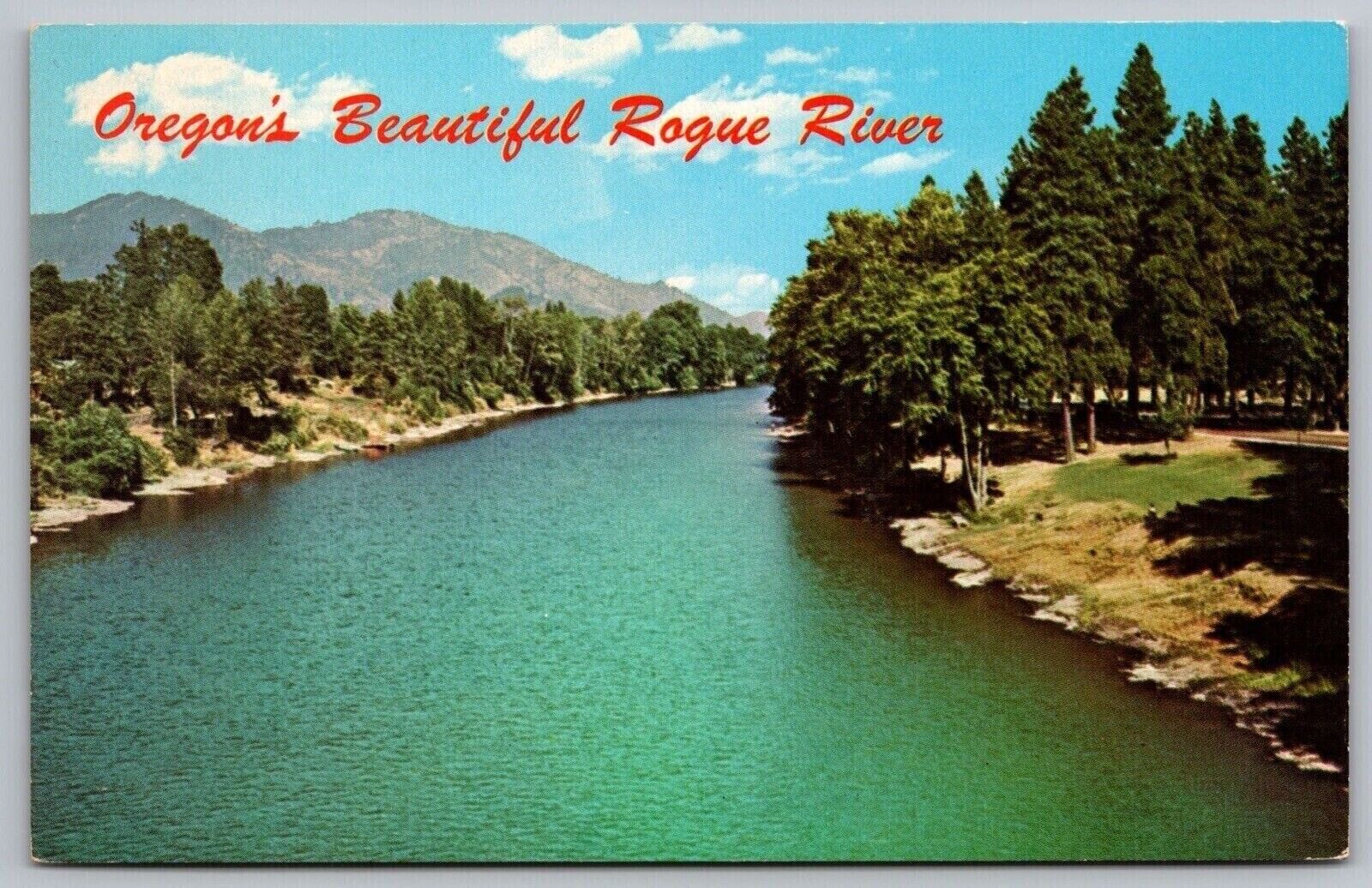 Oregon Rogue River Birds Eye View Riverfront Forest Mountains Vintage Postcard