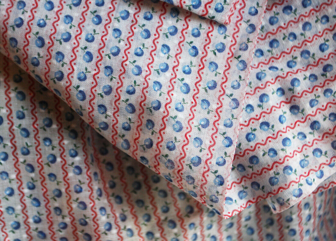 Vtg Fabric Dotted Swiss Voile Fruit Novelty Blue Apple Red Stripe White Dots