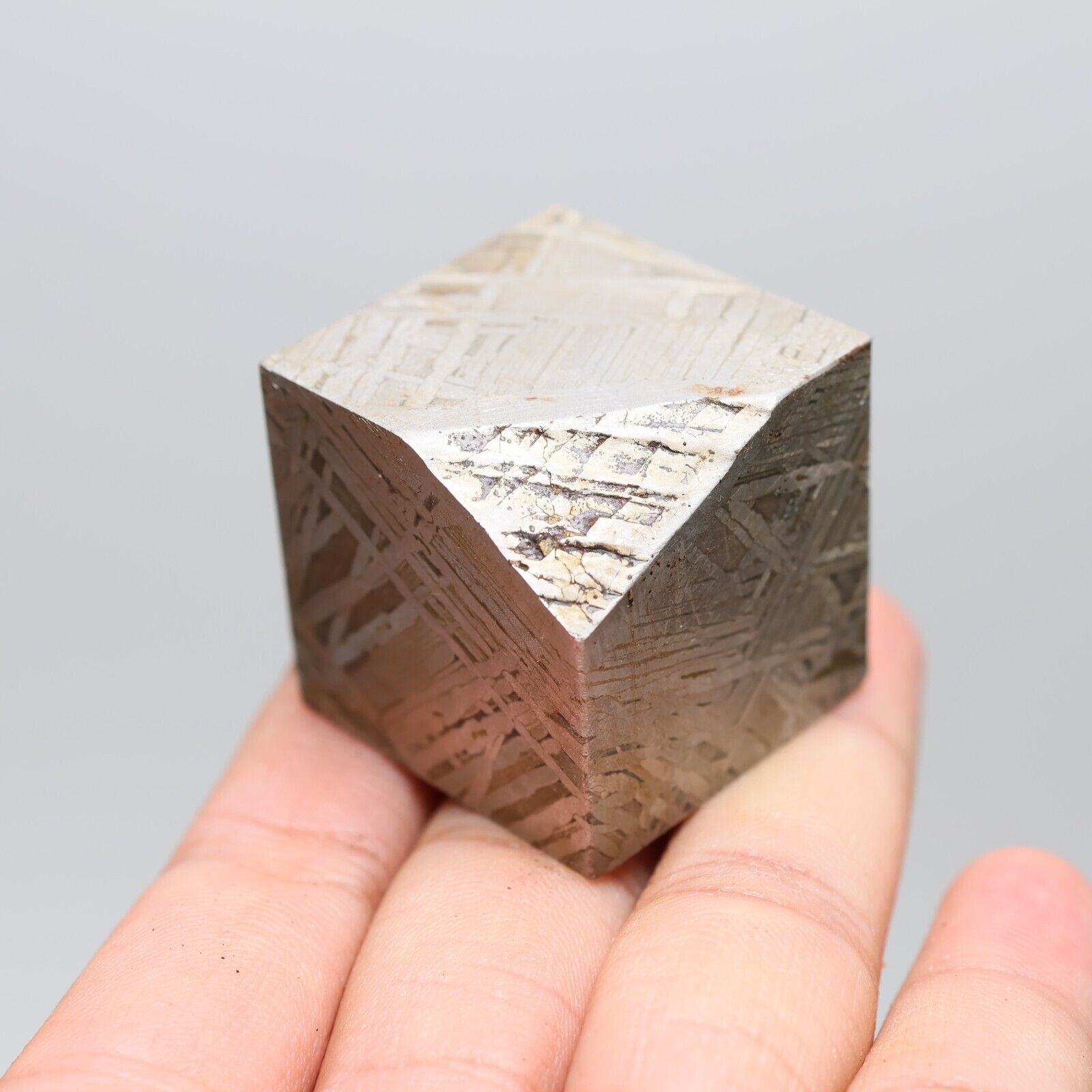 157g  Muonionalusta meteorite part slice C6547