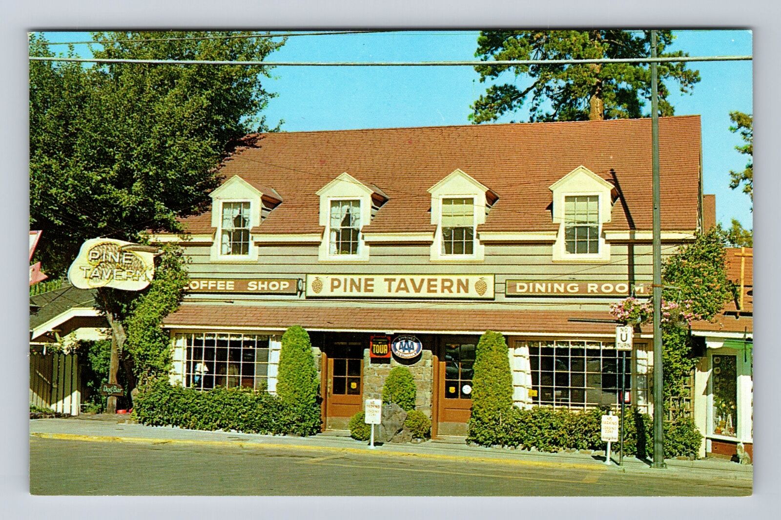 Bend OR-Oregon, Pine Tavern, Advertisement, Antique, Vintage Postcard