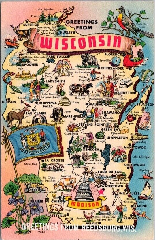 c1960s WISCONSIN Greetings Postcard State Map / Cartoon Drawings \