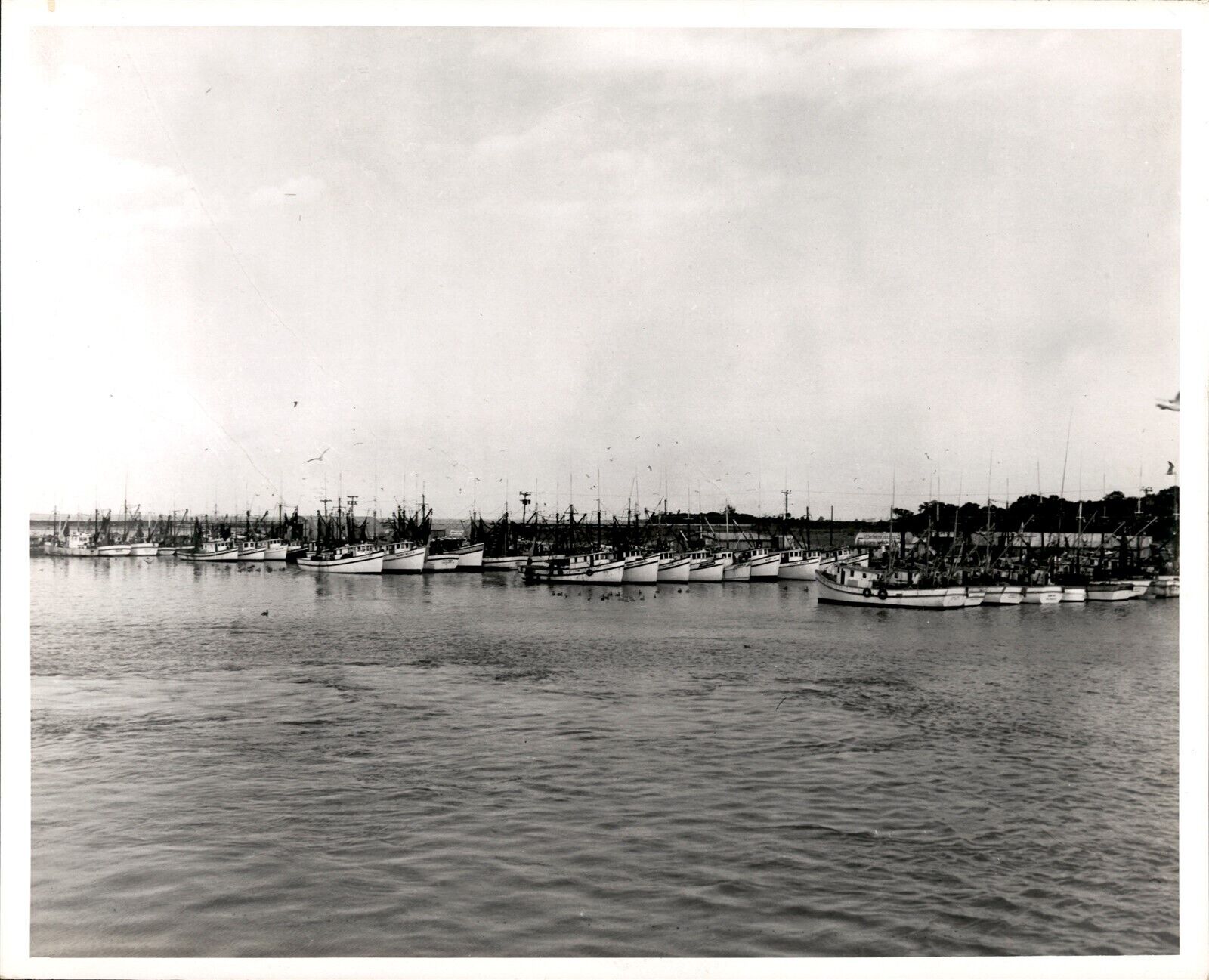 LG13 Original Photo COCOA FLORIDA Ships Lined up Docked Peaceful Ocean Water