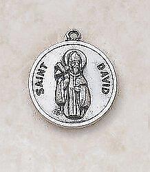 Patron Saint David Sterling Medal Size .75 in H comes with 24 in Chain