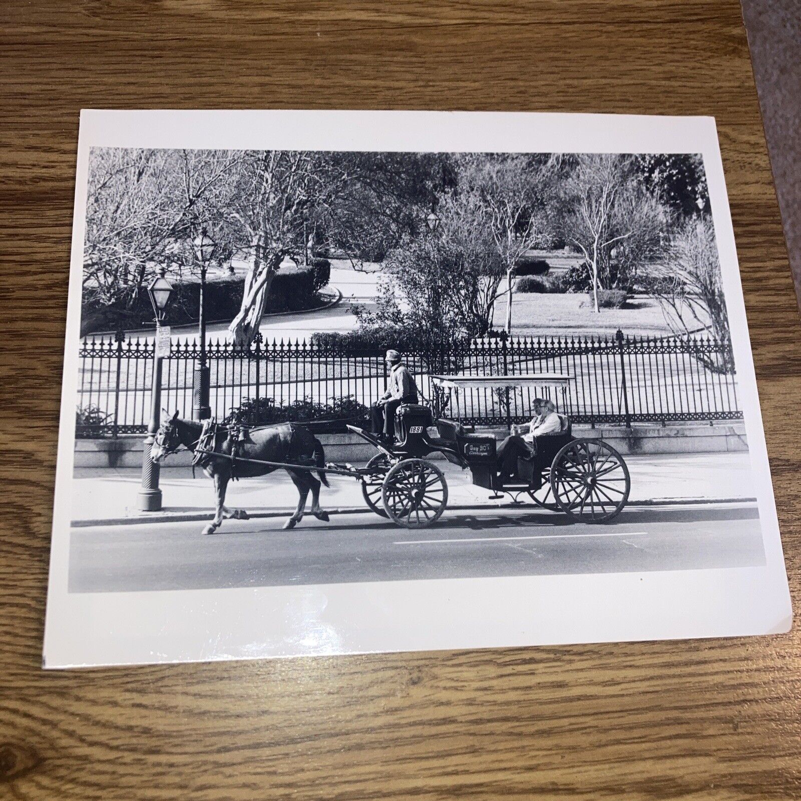 New Orleans 8x10 Photo French Quarter Horse Drawn Carriage Tourists & Guide
