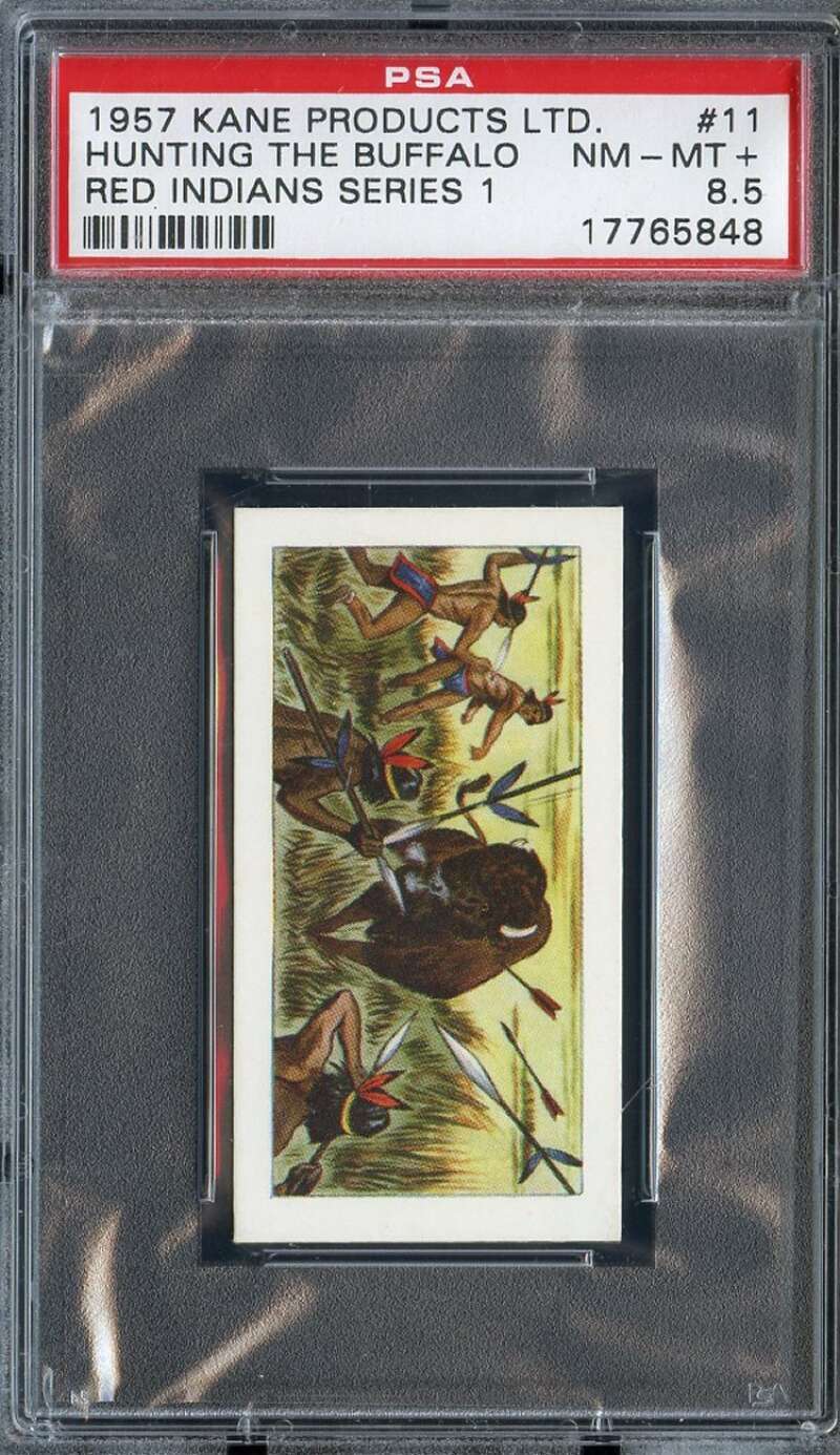 1957 KANE RED INDIANS #11 HUNTING THE BUFFALO PSA 8.5 *DS15010