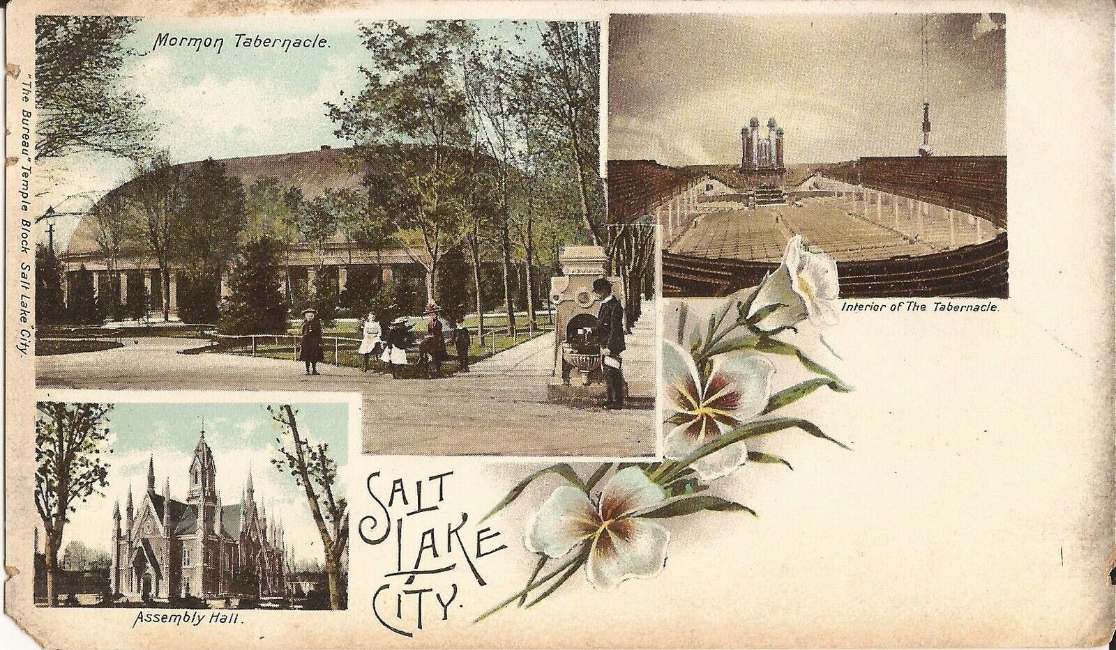 Salt Lake City, UTAH - Mormon Tabernacle & Assembly Hall - MULTIVIEW - sego lily