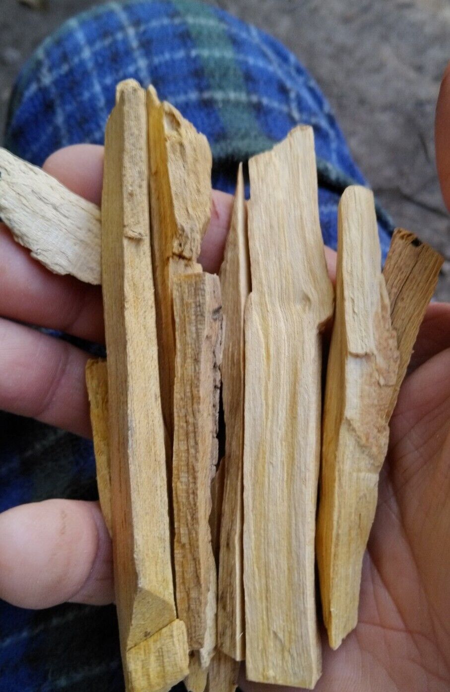 **AWESOME NATIVE AMERICAN PALO SANTO  FOR SMUDGING ONE QUART STARTER PACK **