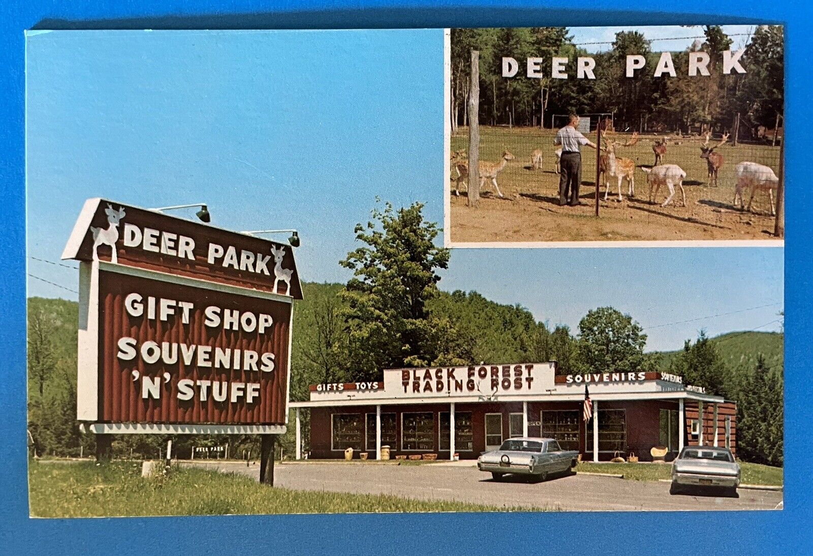 ULYSSES Pennsylvania PA Black Forest Trading Post & Deer Park Postcard