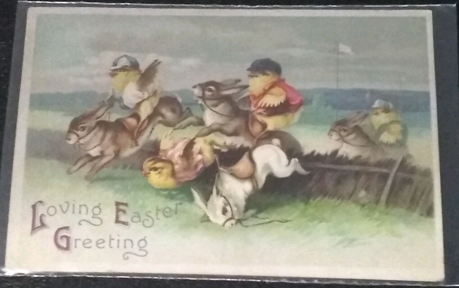 Easter Embossed Anthropomorphic Postcard 1913 Chick Jockeys Racing Rabbits 