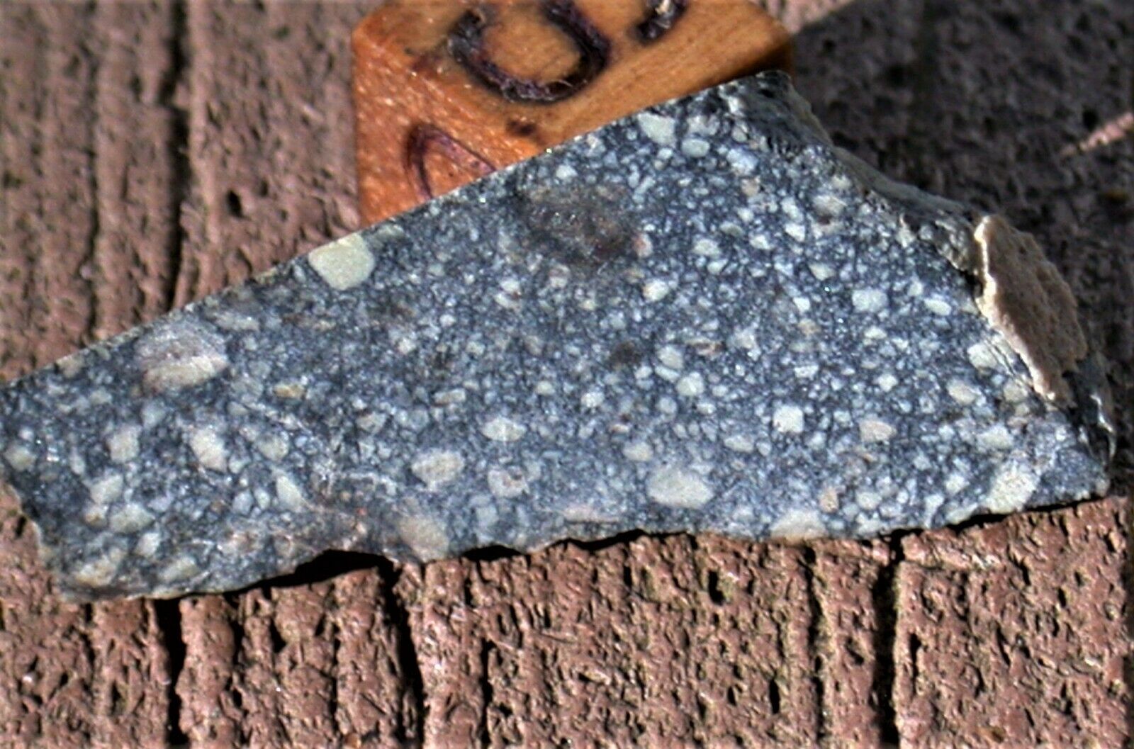 Lunar-like NWA 4664 DIOGENITE(pm) meteorite part slice - 3.67 g 