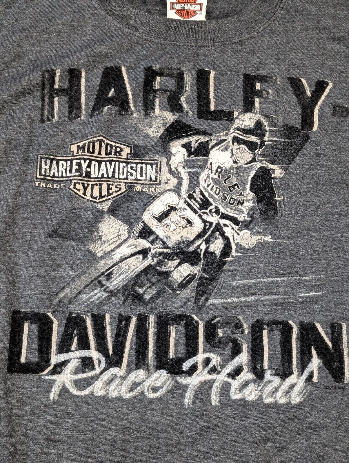 Harley Davidson SS Shirt Chandler Arizona Large Grey 2014 Race Hard Motorcycle