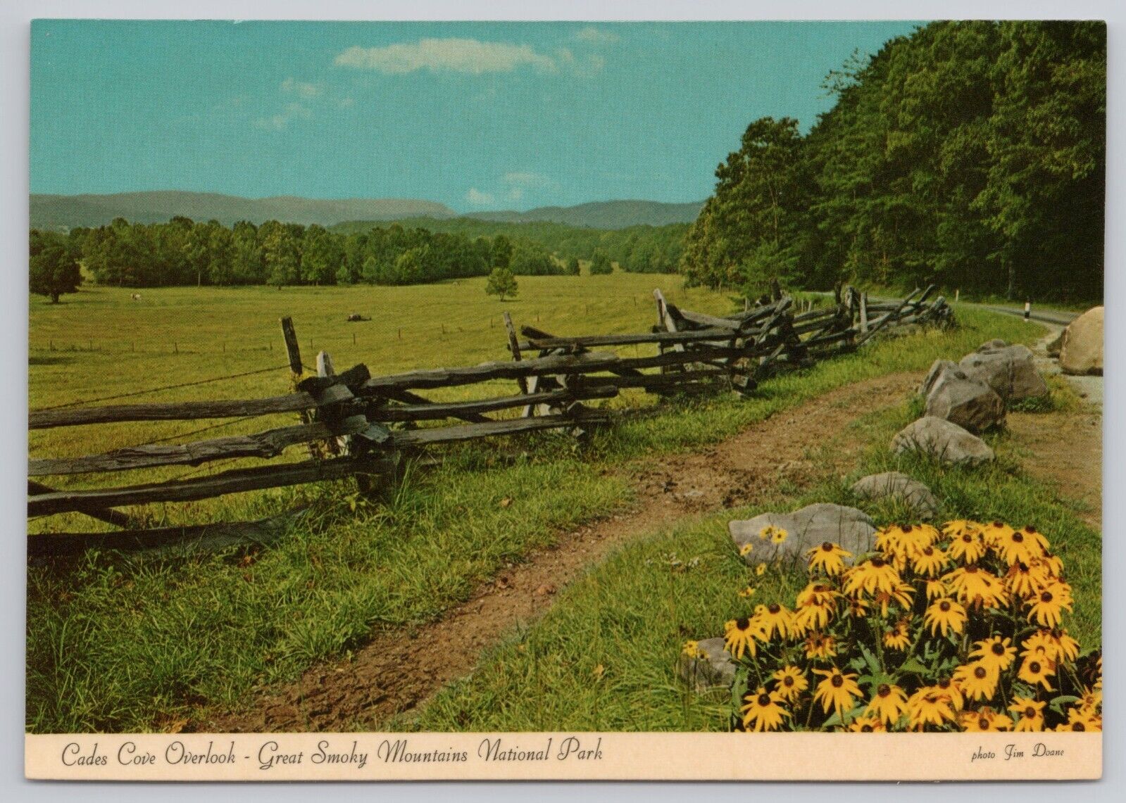Cades Cove Tennessee, Overlook, Great Smoky Mountains, Vintage Postcard