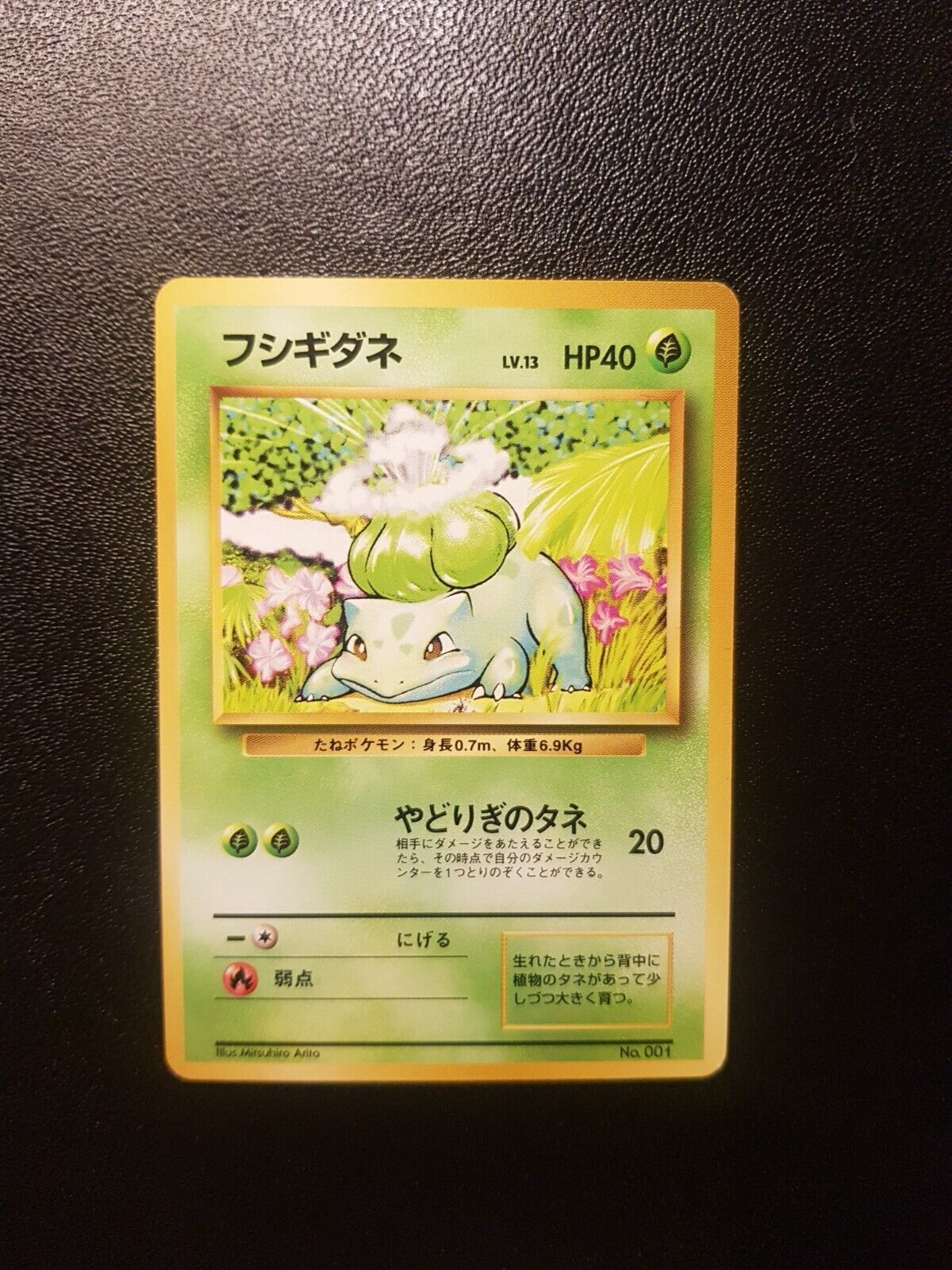Japanese Bulbasaur Base Set No Rarity 1996 Pokemon Card NM