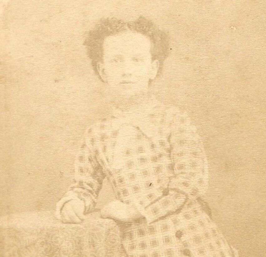 Vintage Antique CDV Photo Portrait Picture Young Victorian Girl in Plaid Dress