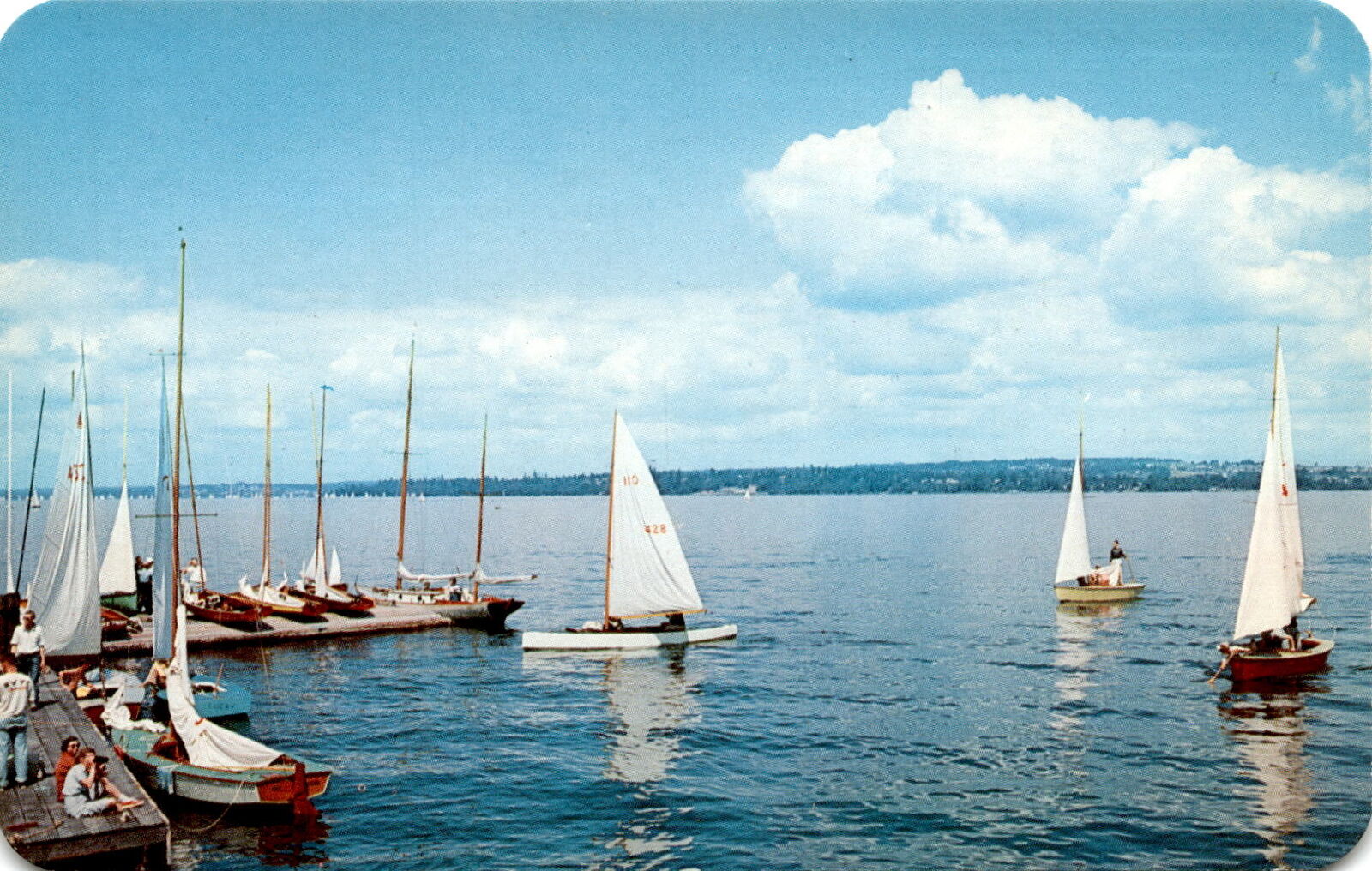 Postcard, sailing race, Whitehall, Michigan, 1950s, 1960s, postcard Postcard