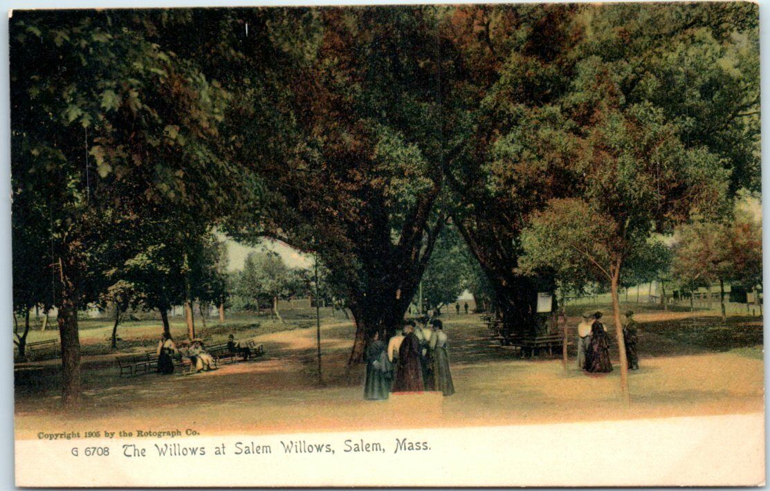 Postcard - The Willows at Salem Willows, Salem, Massachusetts