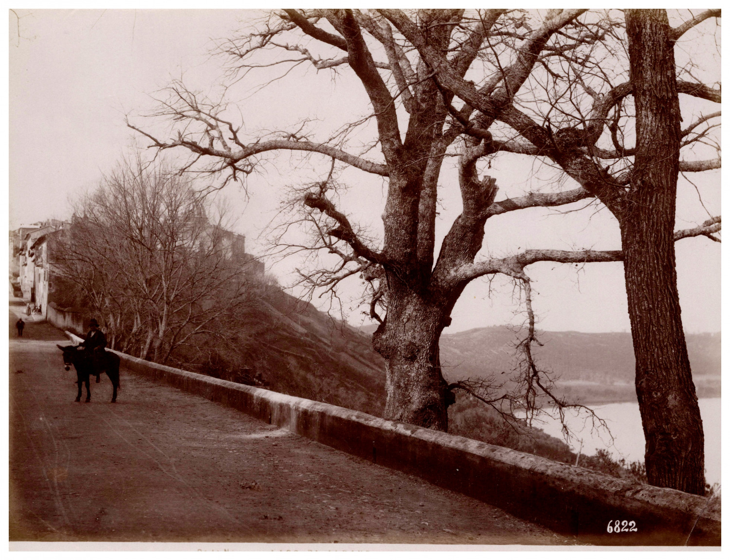 Italy, Lago di Albano, Viale di Castel Gandolfo Vintage albumen print, Tirag