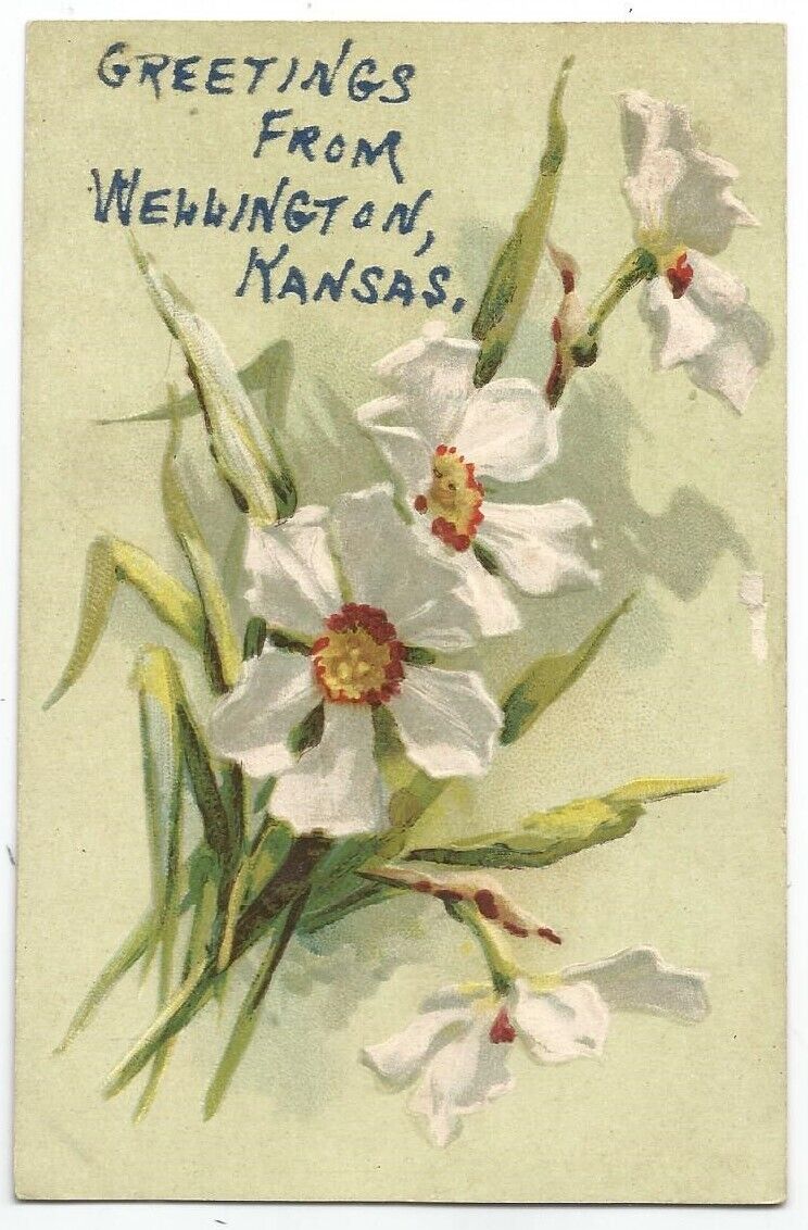 Wellington, KS Kansas 1910 Postcard, Greetings From Type