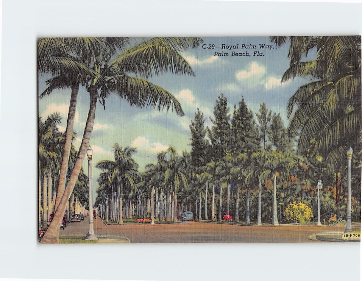 Postcard Royal Palm Way, Palm Beach, Florida