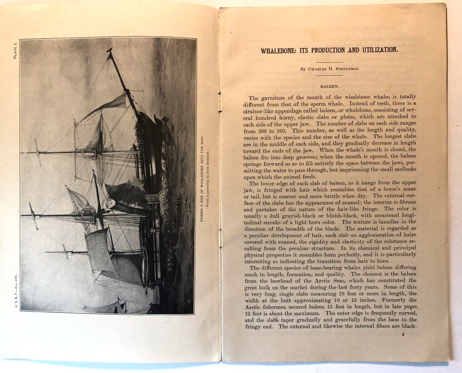 DEPARTMENT OF FISHERIES 1907 WHALEBONE: Its Production and Utilization First Ed.