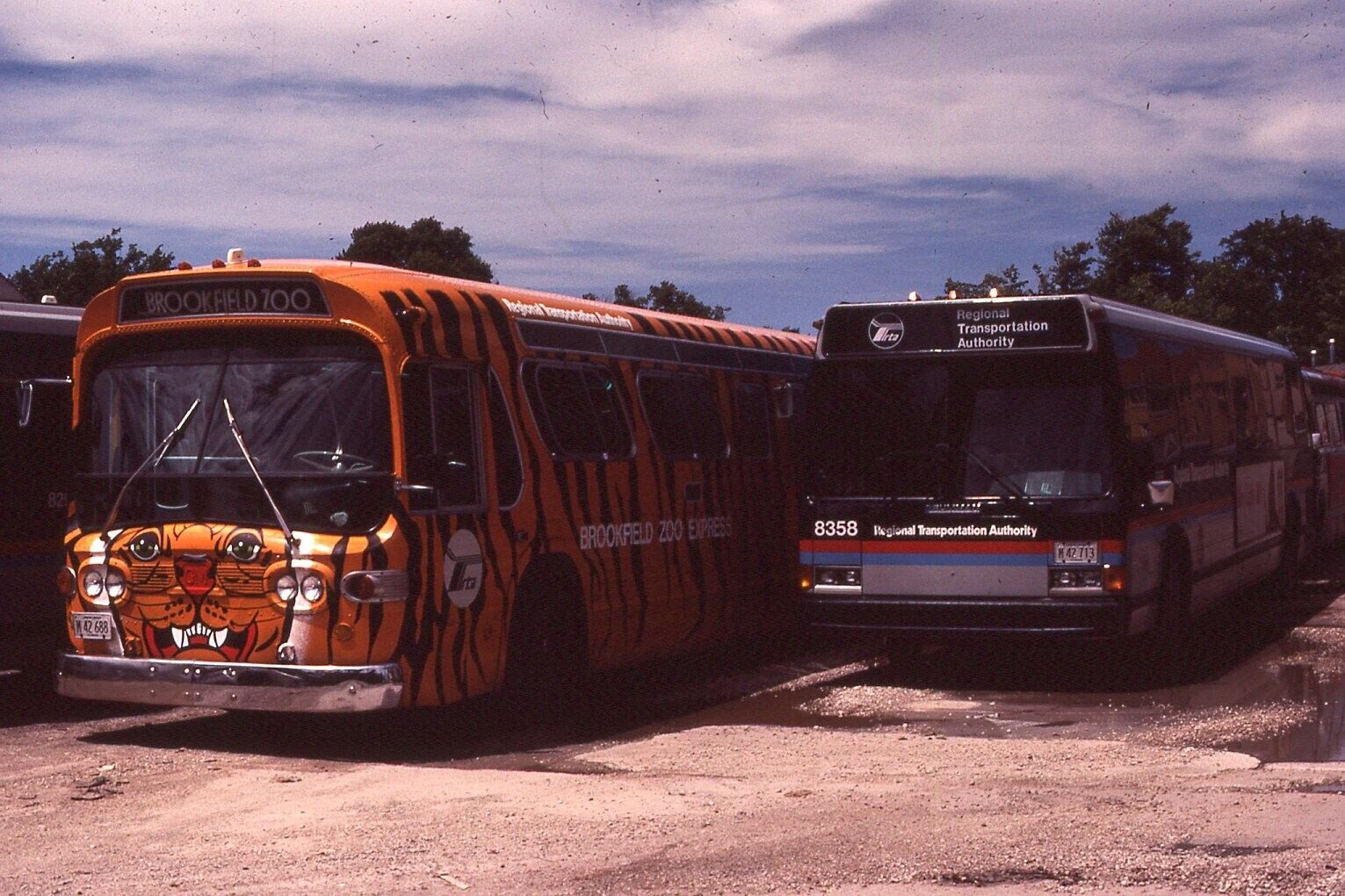 Original Bus Slide Northeastern Illinois Reg Transport Authority #8358 1984 #34