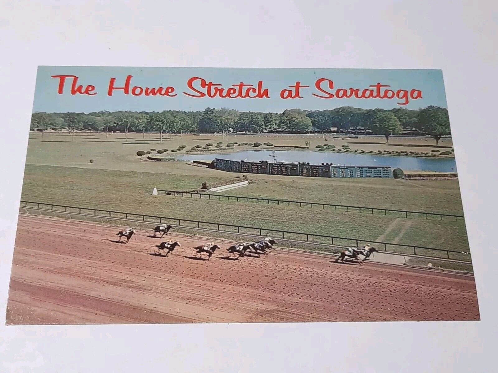 The Home Stretch Saratoga Race Track New York Horse Racing Vintage Postcard