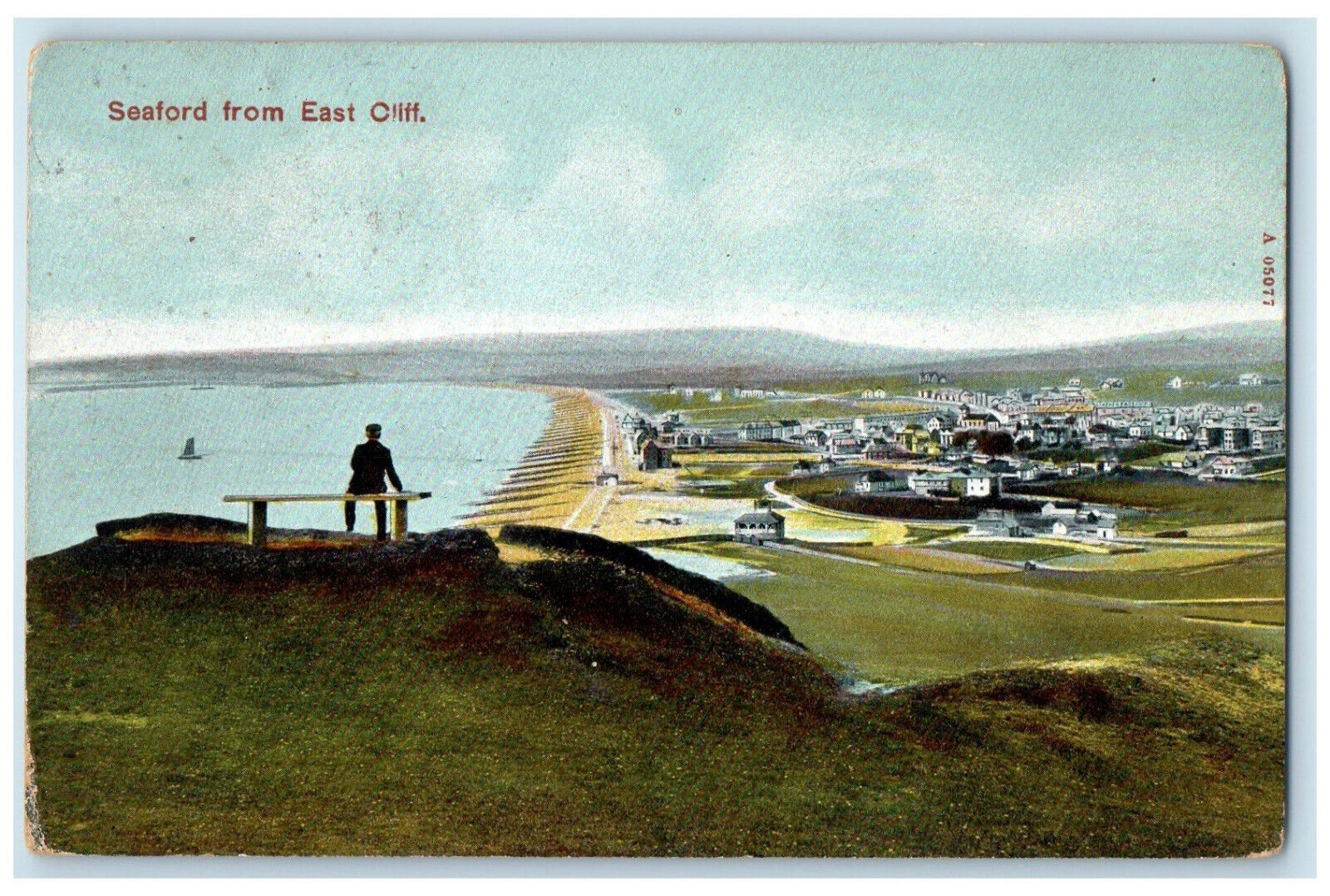 1909 Seaford from East Cliff East Sussex England Antique Posted Postcard