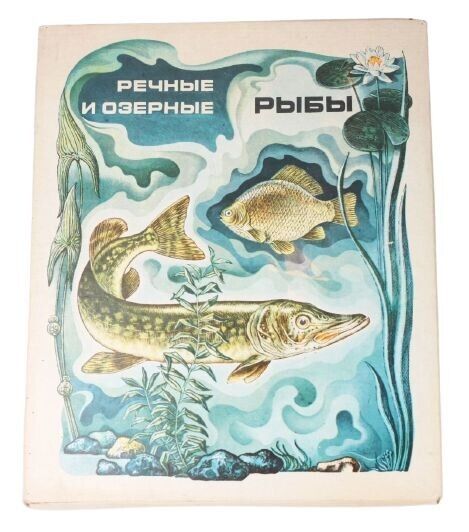 1980's USSR Soviet Russia FISHES Views Matchboxes Set of 28