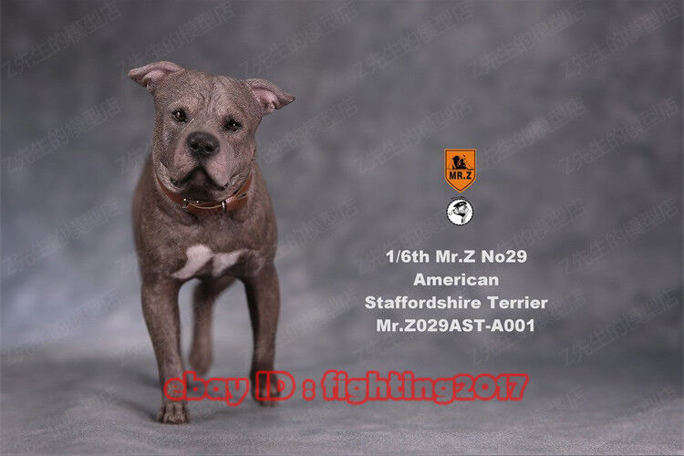 Mr.z 1/6 Scale NO29 American Staffordshire Terrier Dog Resin Statue IN STOCK