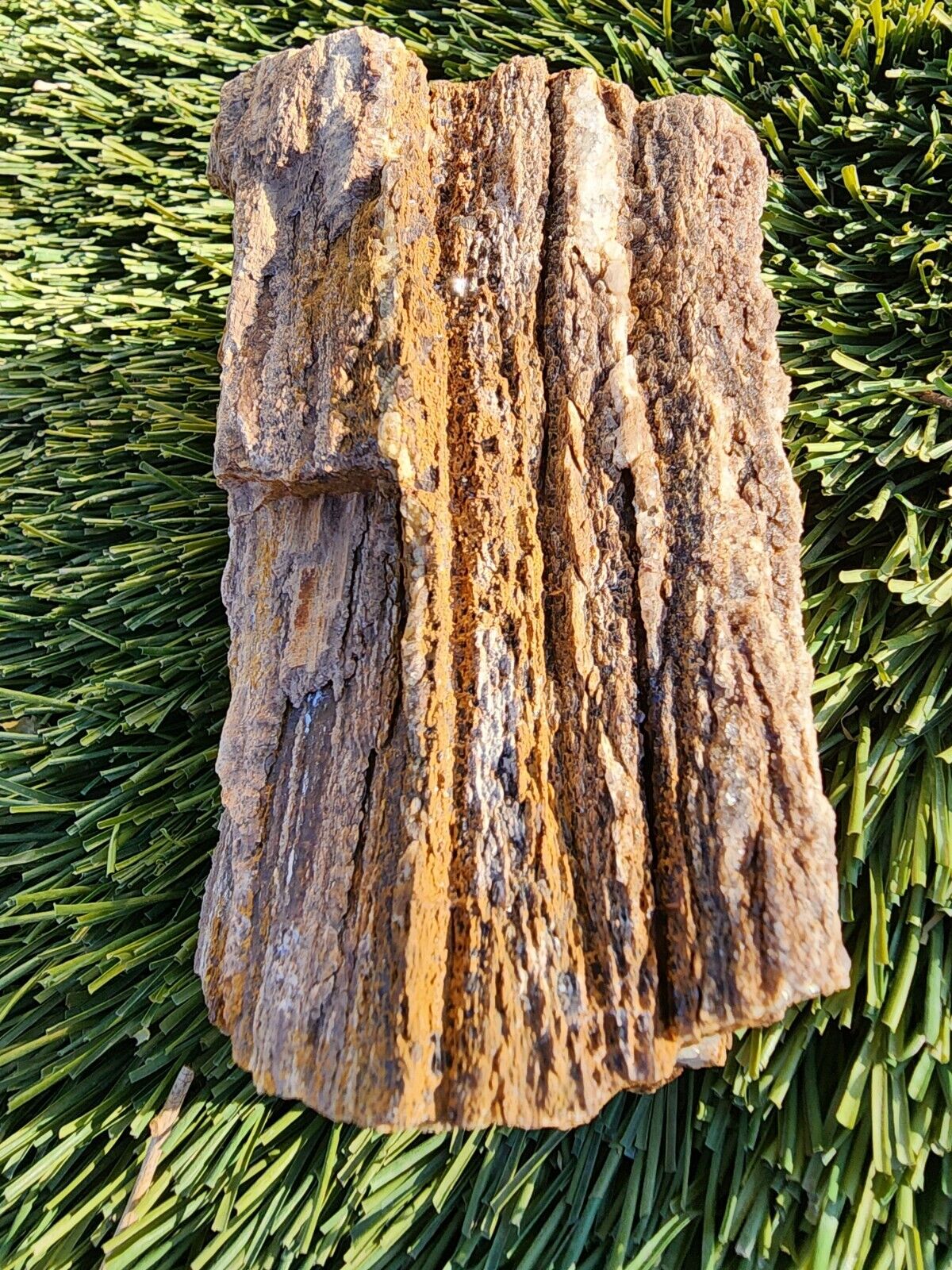 Petrified Wood Covered in Smokey Quartz From Utah 1 lb 5 oz