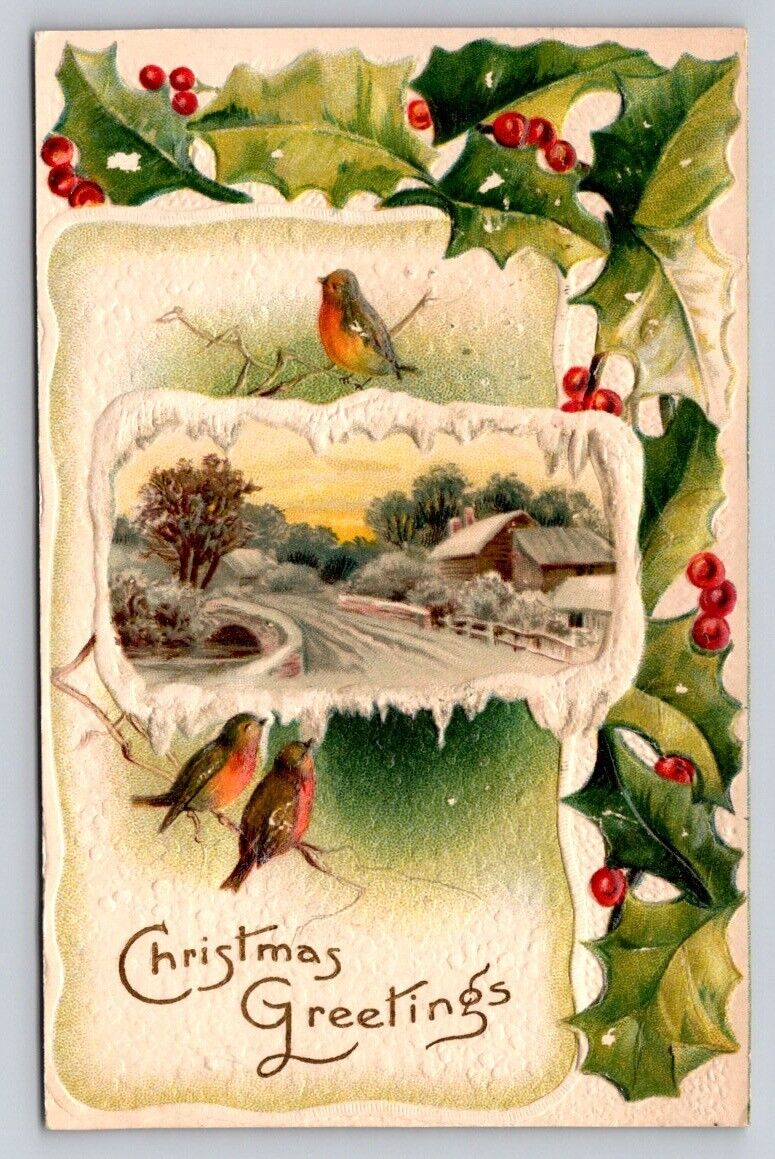 c1910 Birds Holly Frost Embossed Christmas P382