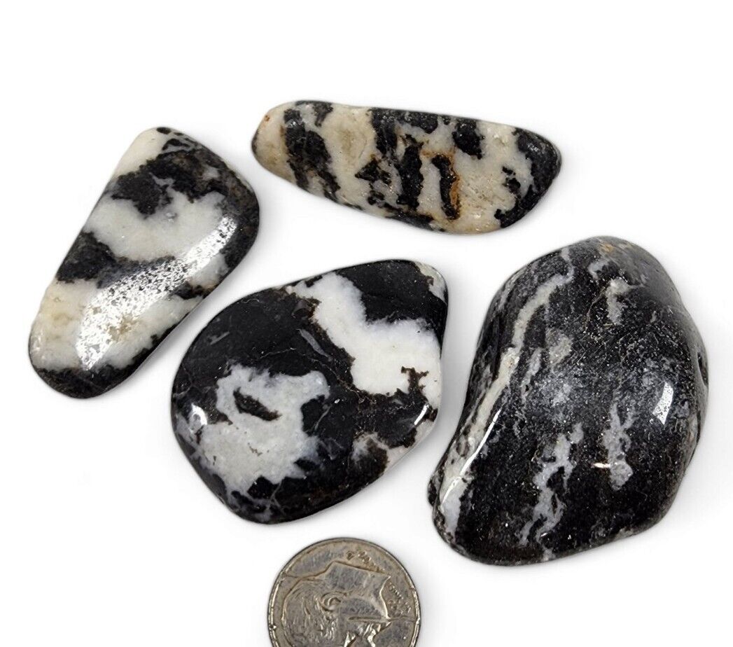 Zebra Agate Polished Stones Brazil 60.1 grams Great Quality