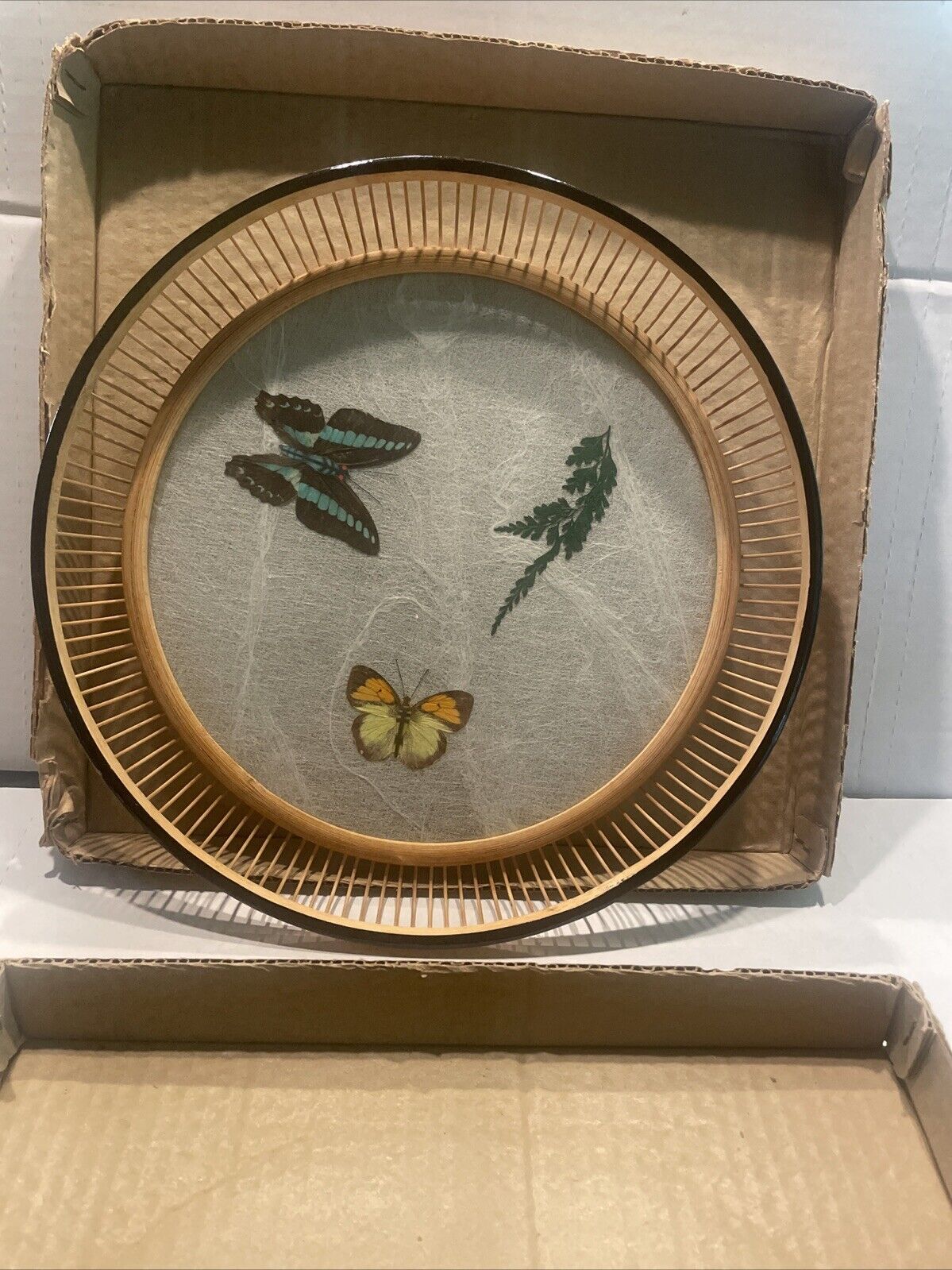 Vintage 70s Boho Bamboo Butterfly Tray, Round With Original Box From Japan