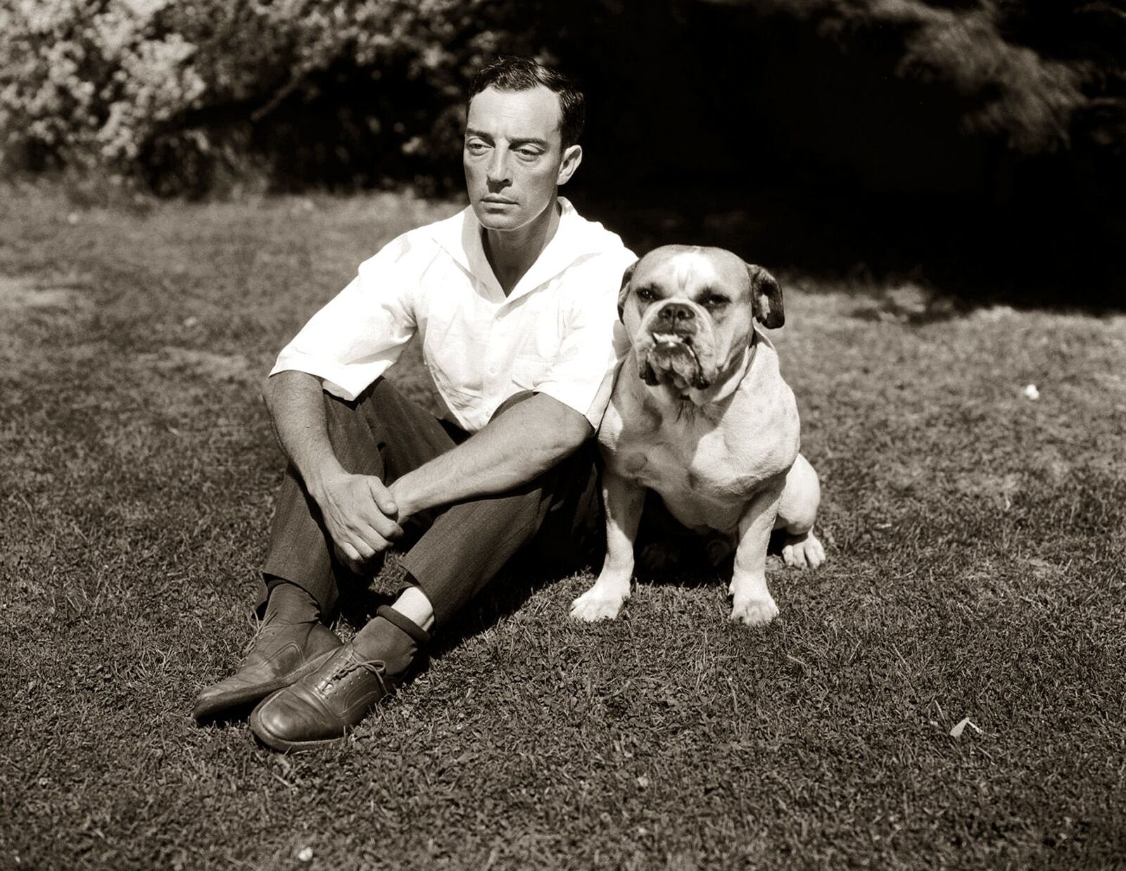 1929 BUSTER KEATON With His Bulldog PHOTO  (180-v )