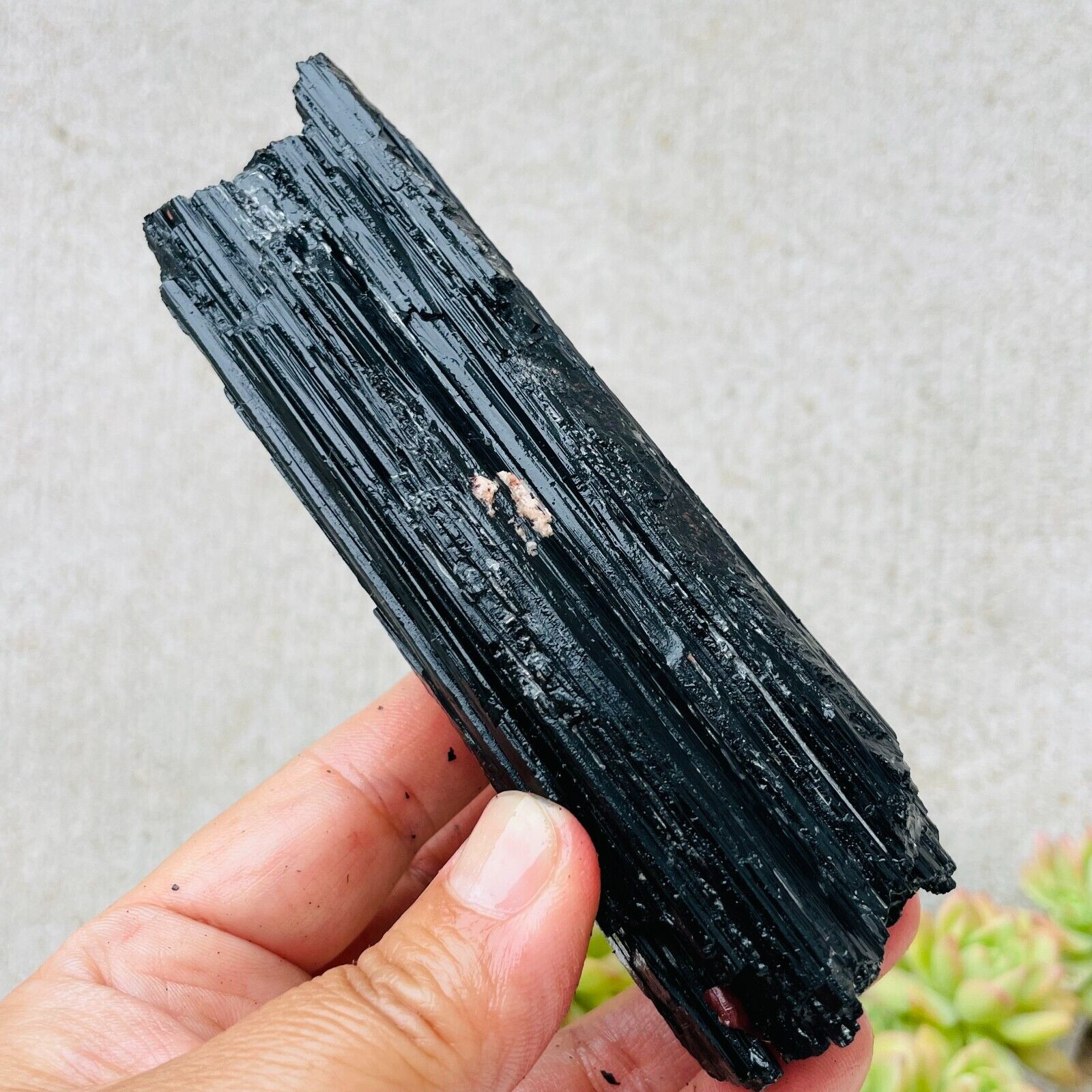 269g Natural Black Tourmaline Quartz Crystal Mineral Specimen Healing