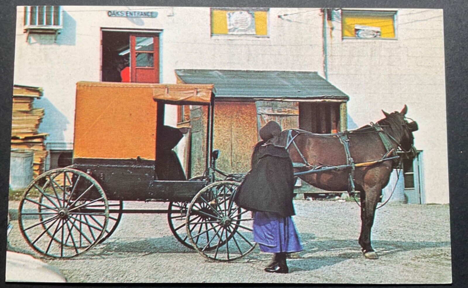 Pennsylvania PA Postcard Amish Women Coming Into Town