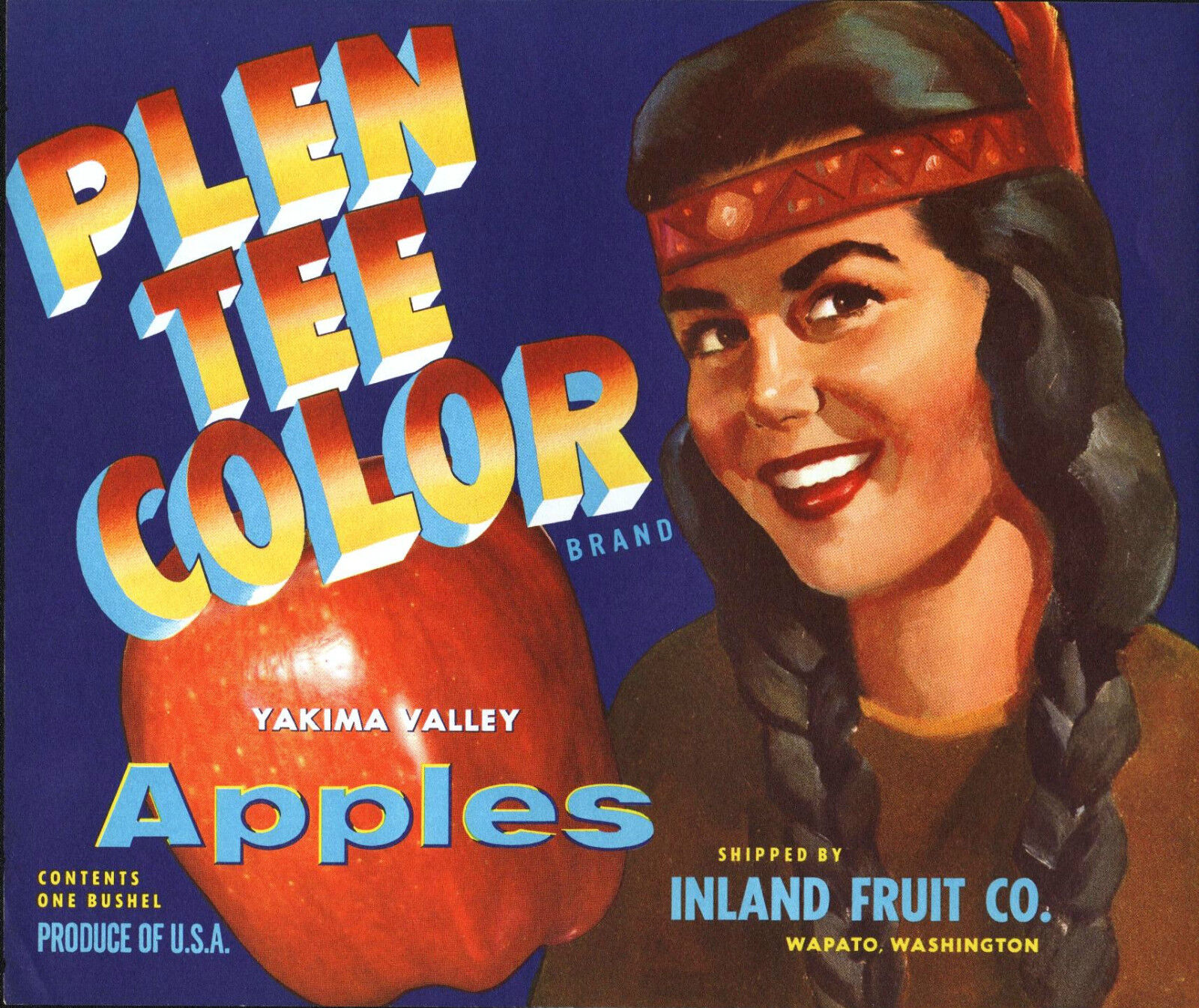 *Original* PLEN TEE COLOR Native American Maiden BLUE Apple Label NOT A COPY