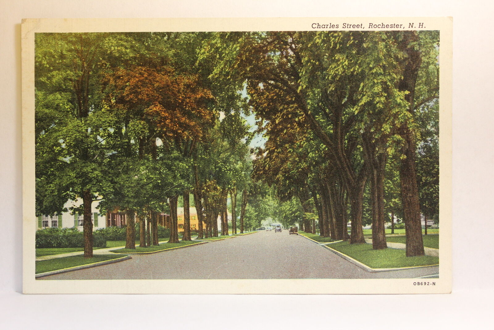 Postcard Charles Street, Rochester NH M18