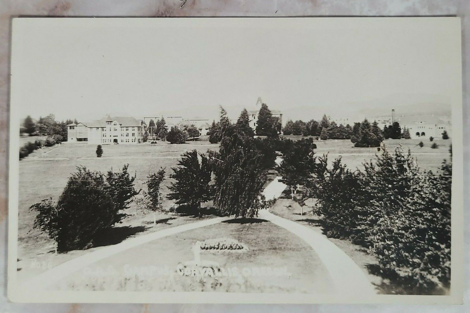 Corvallis Oregon OAC Campus #86 1913 RPPC Photo Postcard Unposted