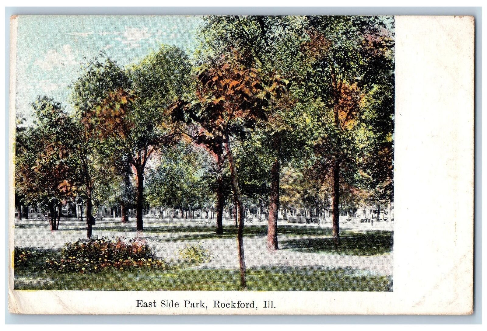 Rockford Illinois IL Postcard Scenic View Of East Side Park Trees 1908 Vintage