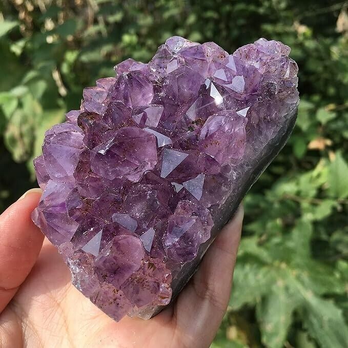 Natural Raw Amethyst Quartz Purple Crystal Cluster Stones Specimen Great Decor
