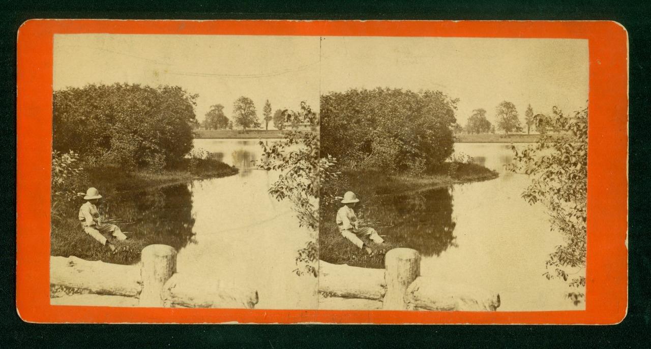 a725, E & H T Anthony Stereoview, #7203, View Near the Upper Lake, NY, 1880s