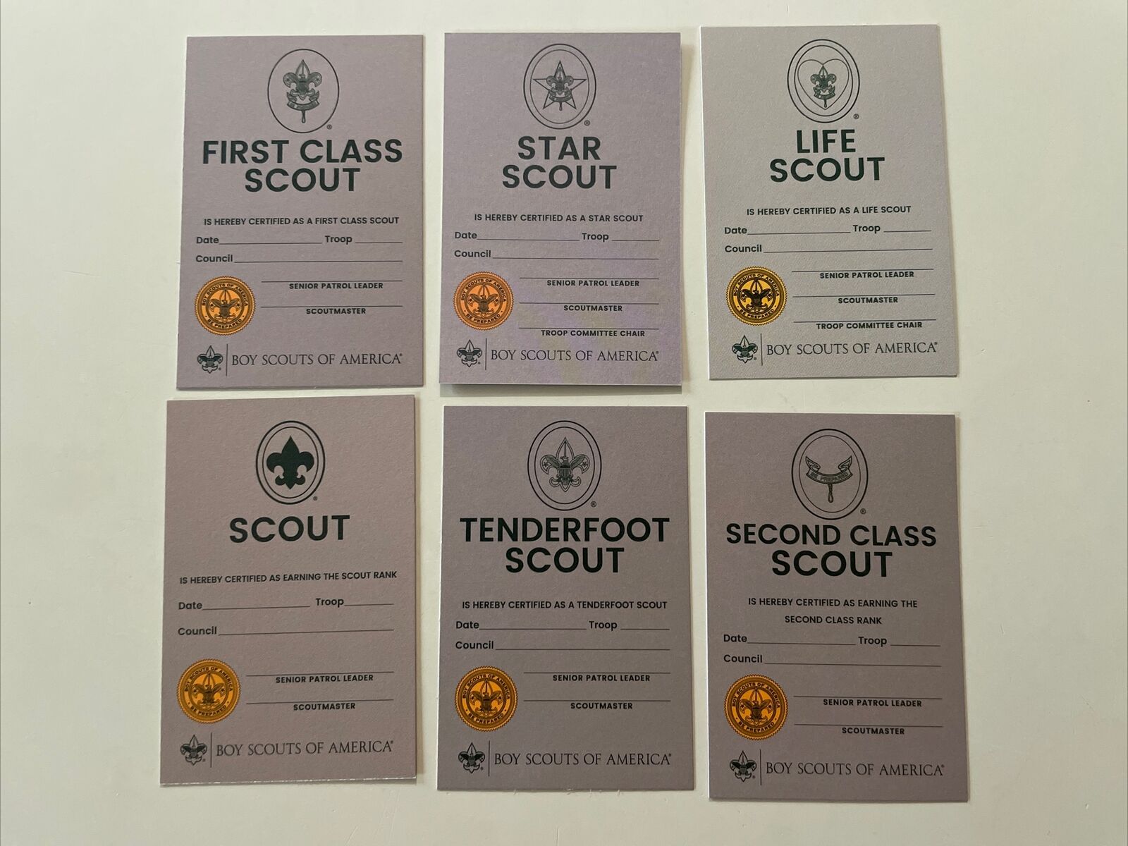 BSA Boy Scouts Of America Rank Card Set, 2018-2019 Life Star First Second Class