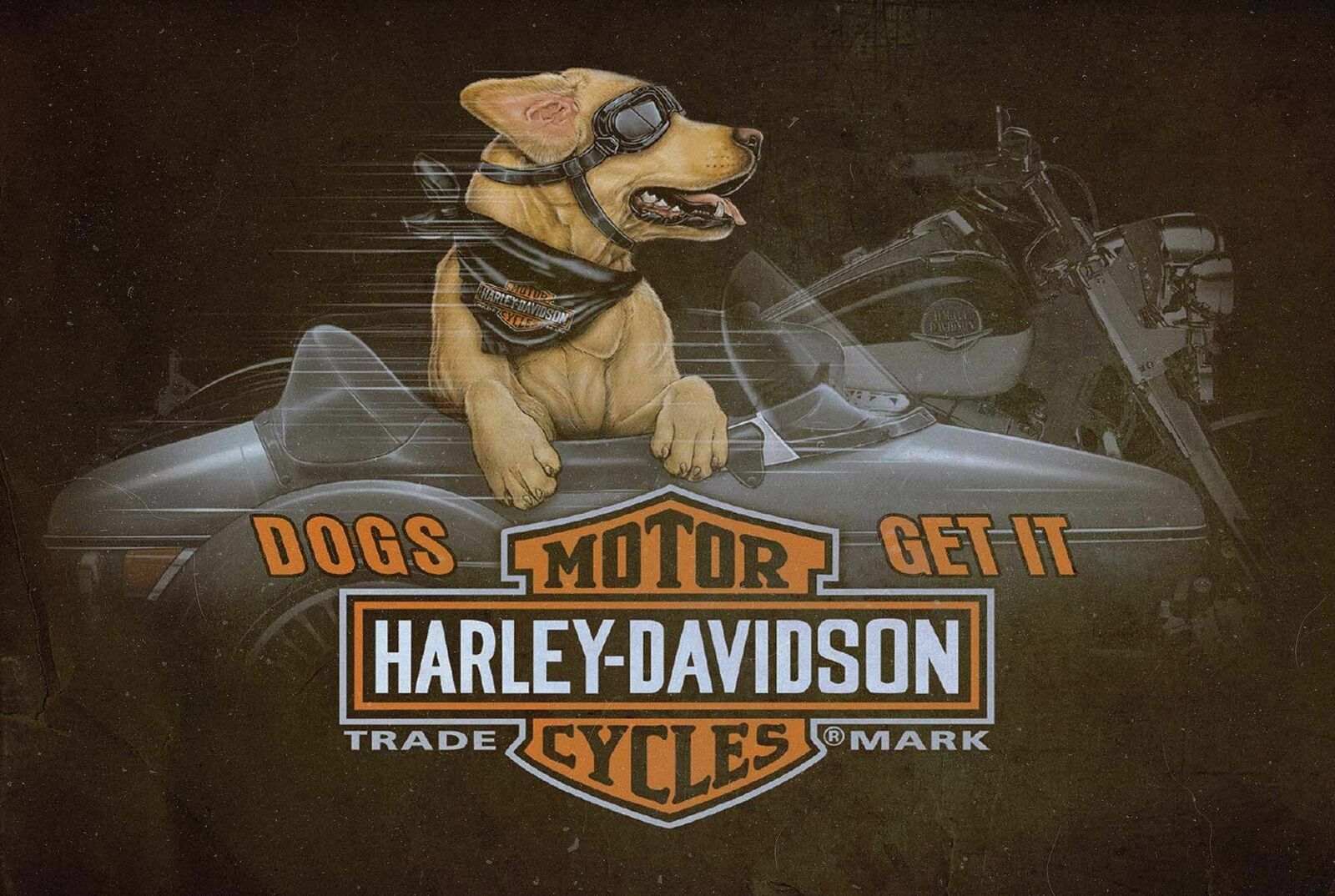 HARLEY DAVIDSON DOGS GET IT SIDE CAR 36\