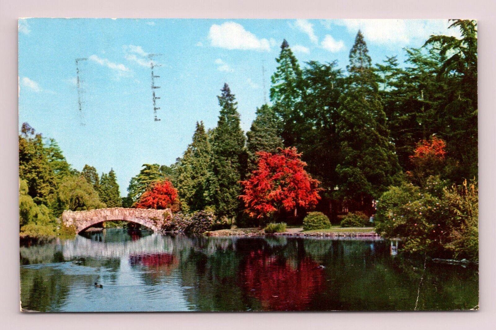 Goodacre Lake Bridge Beacon Hill Park Victoria British Columbia 1950s postcard