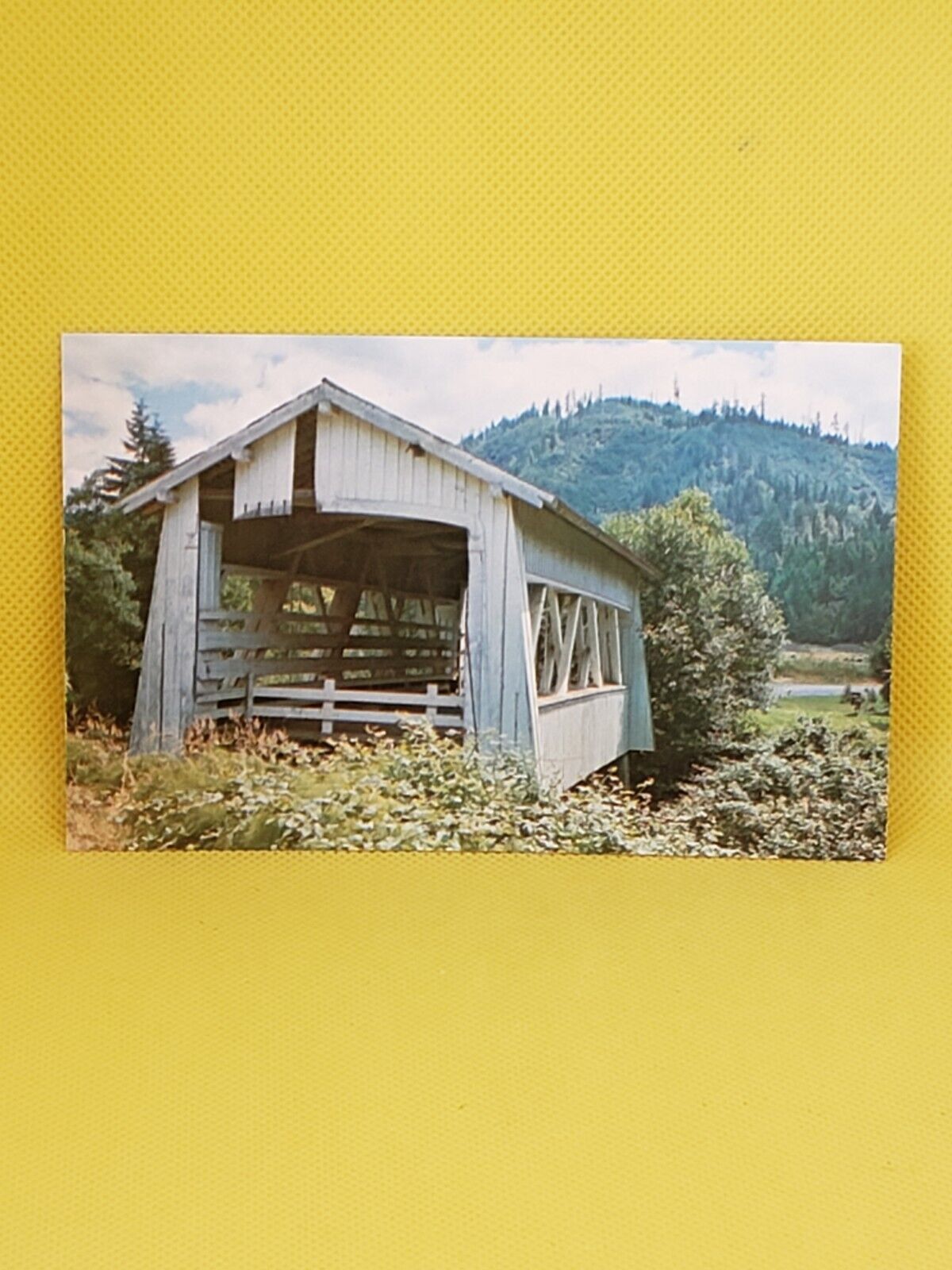 Scenic Old Covered Bridge Coos County Oregon OR VTG Postcard #275